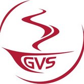 Logo: GVS Group GmbH